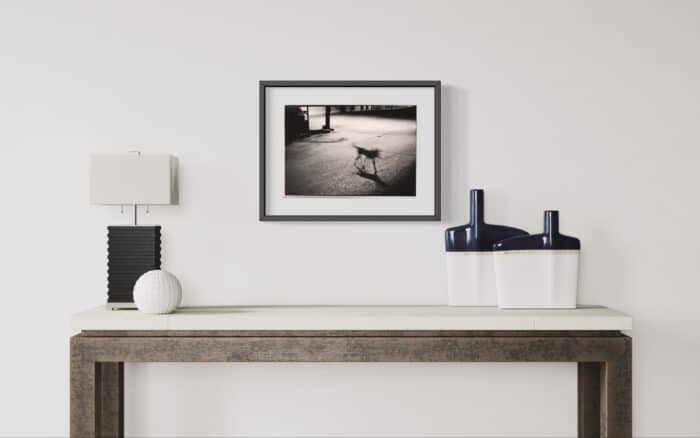 RAMON GIELING - "Mexicaanse hond" - impressie in interieur met lijst