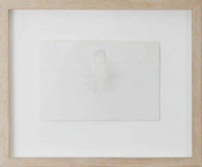 HENK PEETERS - "The Feather" in frame