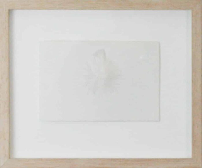 HENK PEETERS - "The Feather" in frame