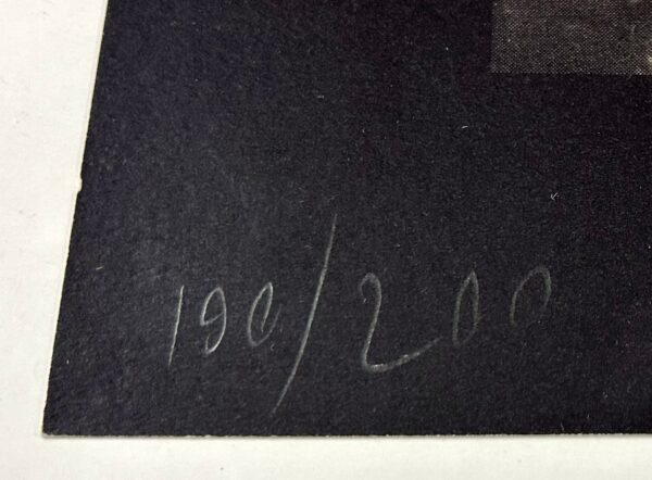 ANDREI ROITER - large framed, hand signed silkscreen print: numbering